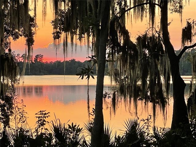 2708 SW 14TH DRIVE 220, Gainesville, FL 32608