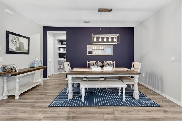 11404 BLUE WOODS DRIVE, Riverview, FL 33569