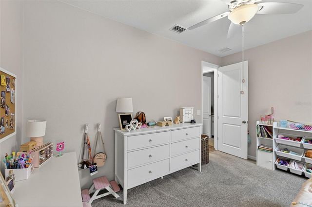 11404 BLUE WOODS DRIVE, Riverview, FL 33569