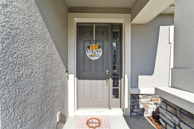 11404 BLUE WOODS DRIVE, Riverview, FL 33569