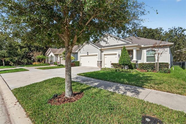 11404 BLUE WOODS DRIVE, Riverview, FL 33569
