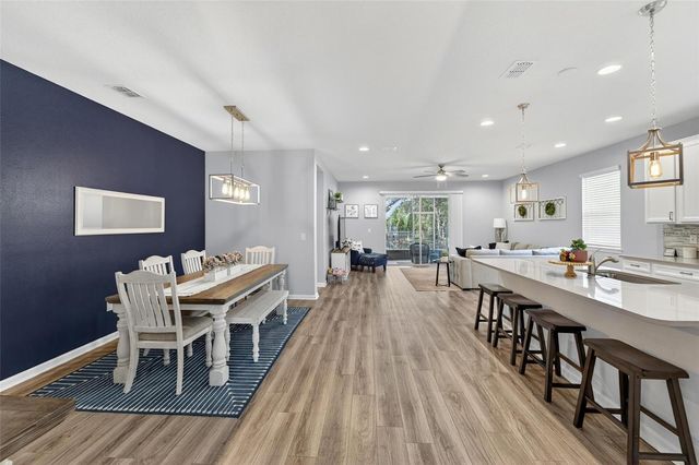 11404 BLUE WOODS DRIVE, Riverview, FL 33569