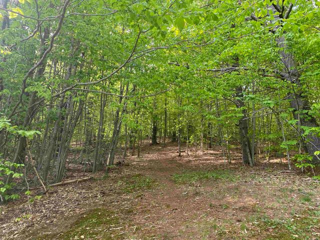 116 Teacher Road, Jamaica, VT 05343