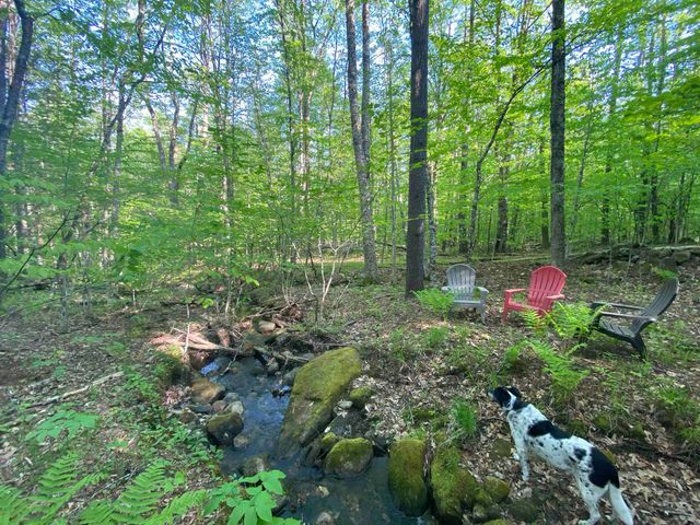 116 Teacher Road, Jamaica, VT 05343