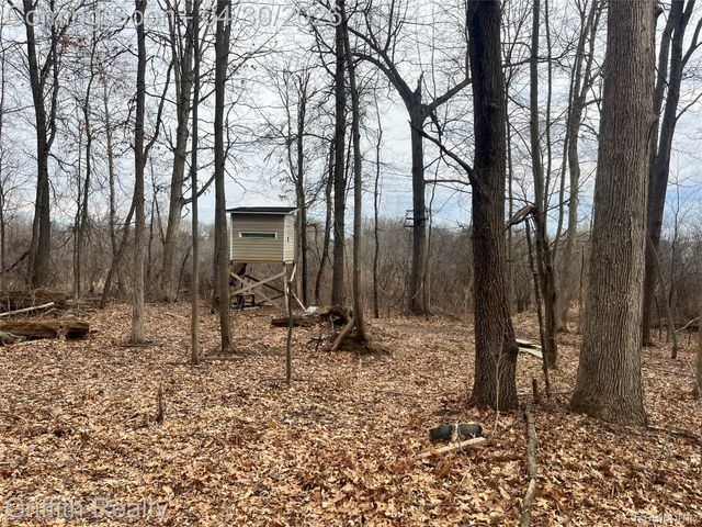 2550 Hartun Drive, Brighton Township, MI 48114
