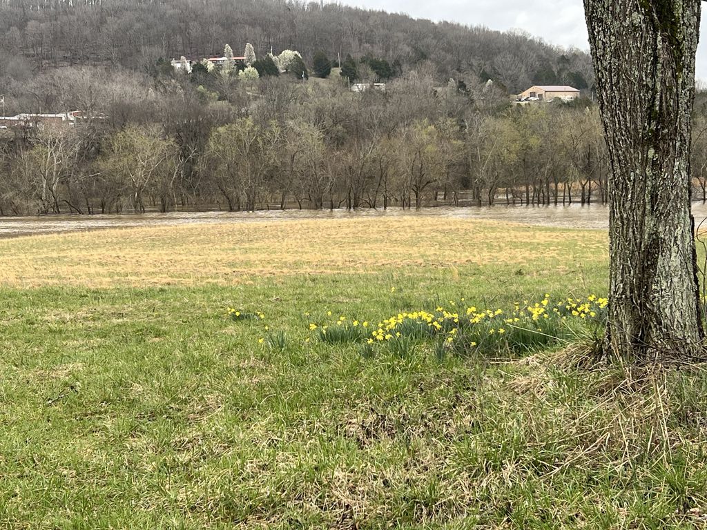763 Lebanon Hwy, Lebanon, TN 37087