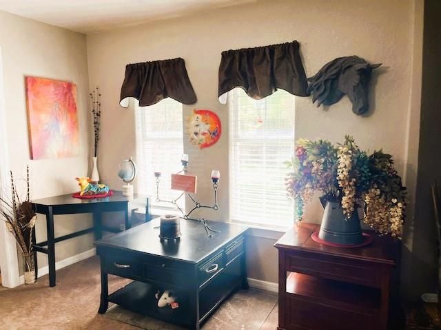 1509 W Panther Lane, Fort Stockton, TX 79735