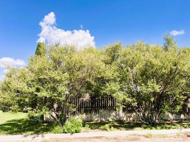 1509 W Panther Lane, Fort Stockton, TX 79735