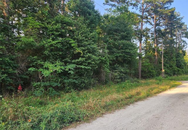 Lot 16 Weeping Willow Lane, Plantersville, TX 77363