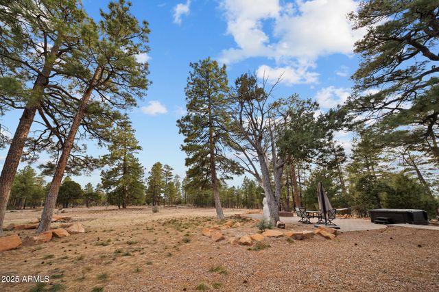 2702 MAJESTIC ELK Road, Overgaard, AZ 85933
