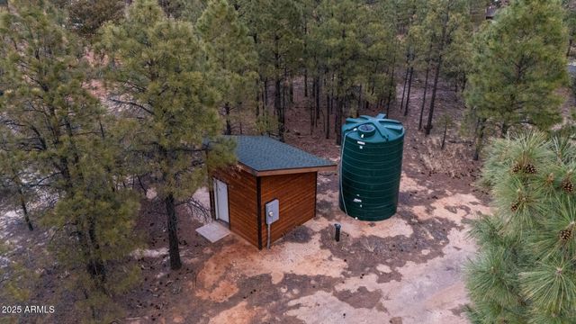 2702 MAJESTIC ELK Road, Overgaard, AZ 85933