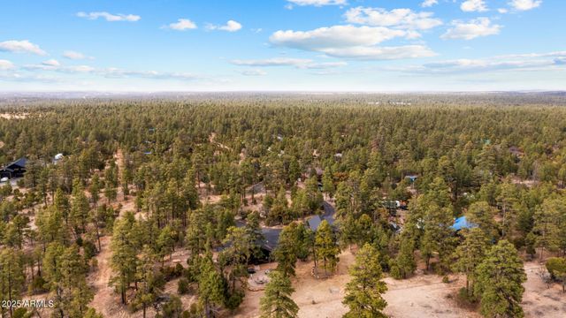 2702 MAJESTIC ELK Road, Overgaard, AZ 85933