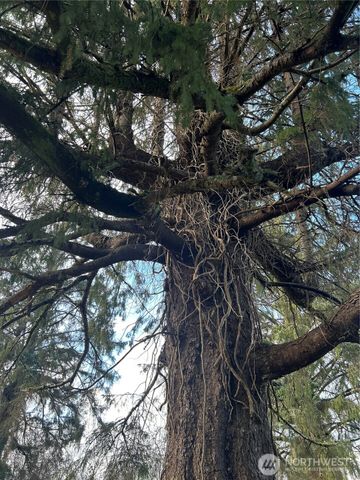 1365 Dolan Street, Raymond, WA 98577