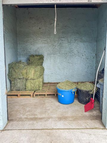 19331 E LEVY STREET, Williston, FL 32696