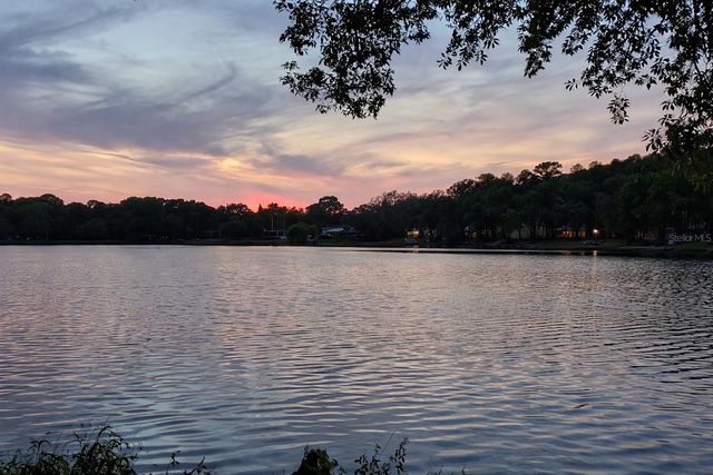 7240 E BANK DRIVE 204, Tampa, FL 33617