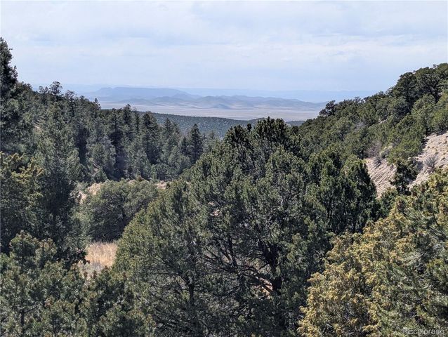 Lot 1593 Jaidi Road, Fort Garland, CO 81133