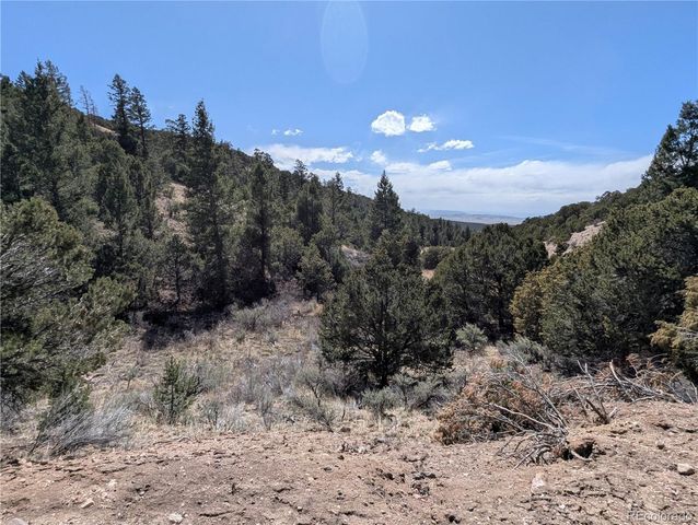 Lot 1593 Jaidi Road, Fort Garland, CO 81133