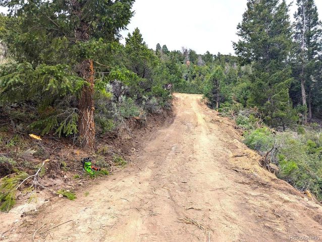 Lot 1593 Jaidi Road, Fort Garland, CO 81133