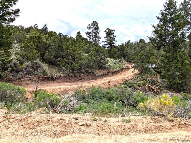 Lot 1593 Jaidi Road, Fort Garland, CO 81133