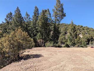 Lot 1593 Jaidi Road, Fort Garland, CO 81133