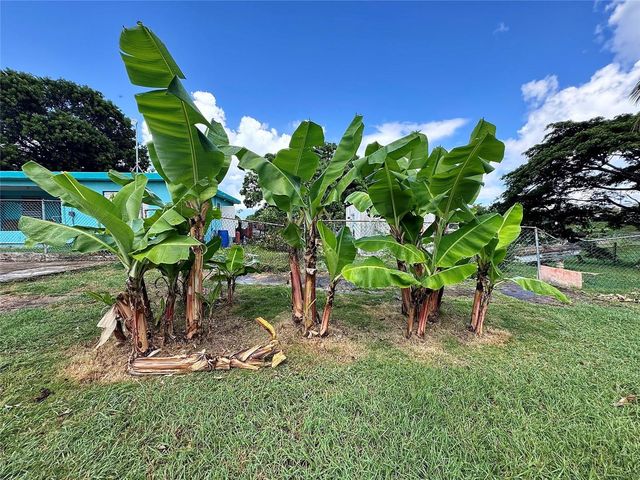 00 CALLE SCORPIO, Vieques, PR 00765