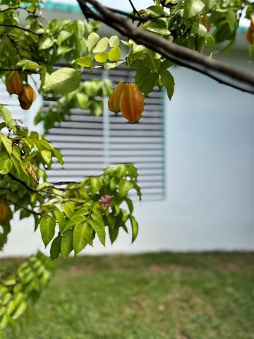 00 CALLE SCORPIO, Vieques, PR 00765