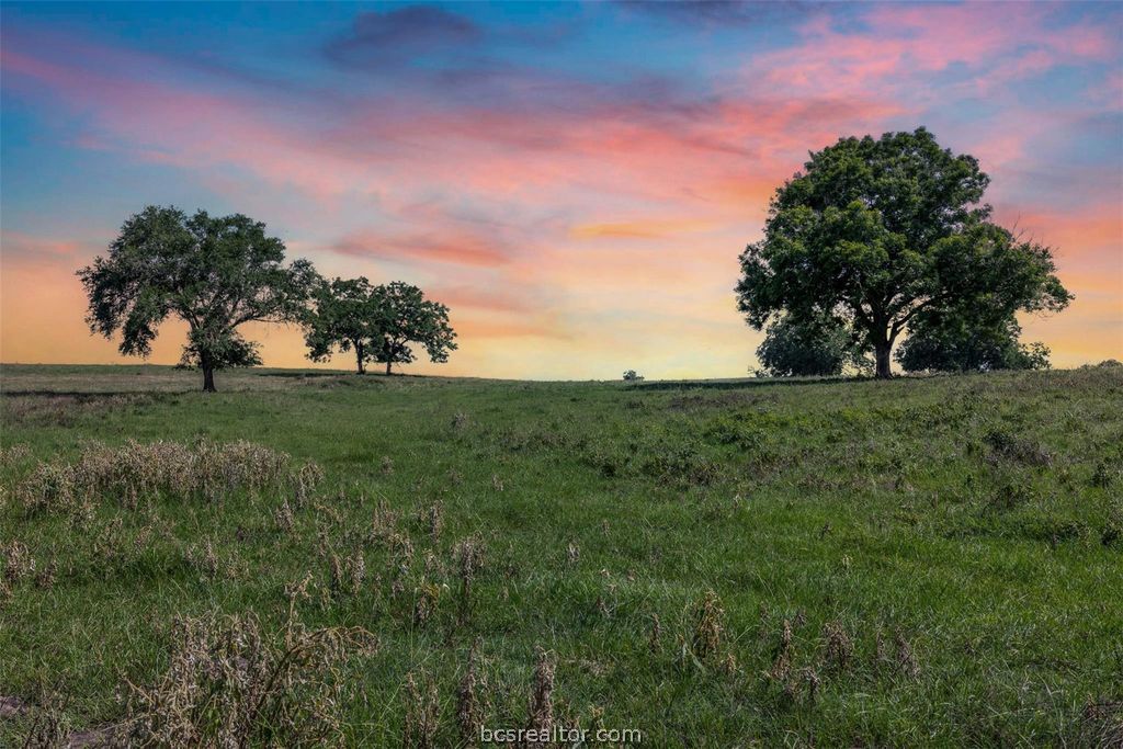6550 Gibbs Creek Road, Chappell Hill, TX 77426