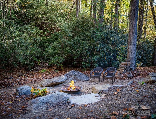 808 Mountain Cove Road, Hendersonville, NC 28792