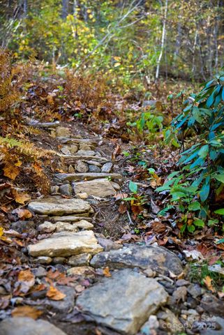 808 Mountain Cove Road, Hendersonville, NC 28792