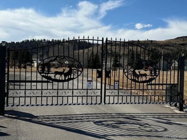 186 Lantern Loop, Hartsel, CO 80449