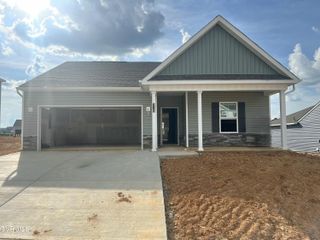 310 Cookie Loop, Gray, TN 37615