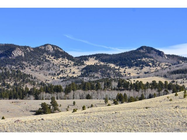 457 Anthony Ave, Westcliffe, CO 81252