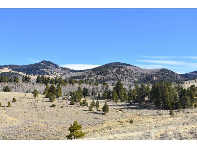 457 Anthony Ave, Westcliffe, CO 81252