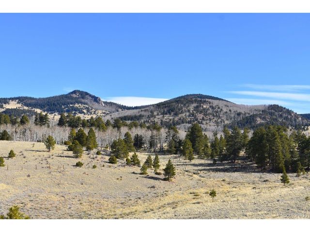 457 Anthony Ave, Westcliffe, CO 81252