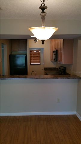 2934 PLAZA TERRACE DRIVE 2934, Orlando, FL 32803