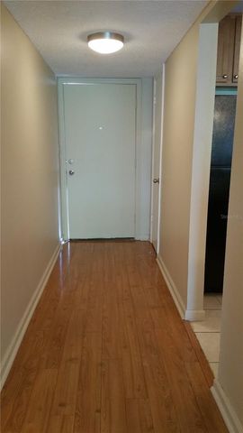 2934 PLAZA TERRACE DRIVE 2934, Orlando, FL 32803