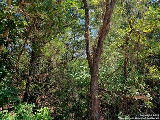 TBD Dale Ln LN, Dale, TX 78616