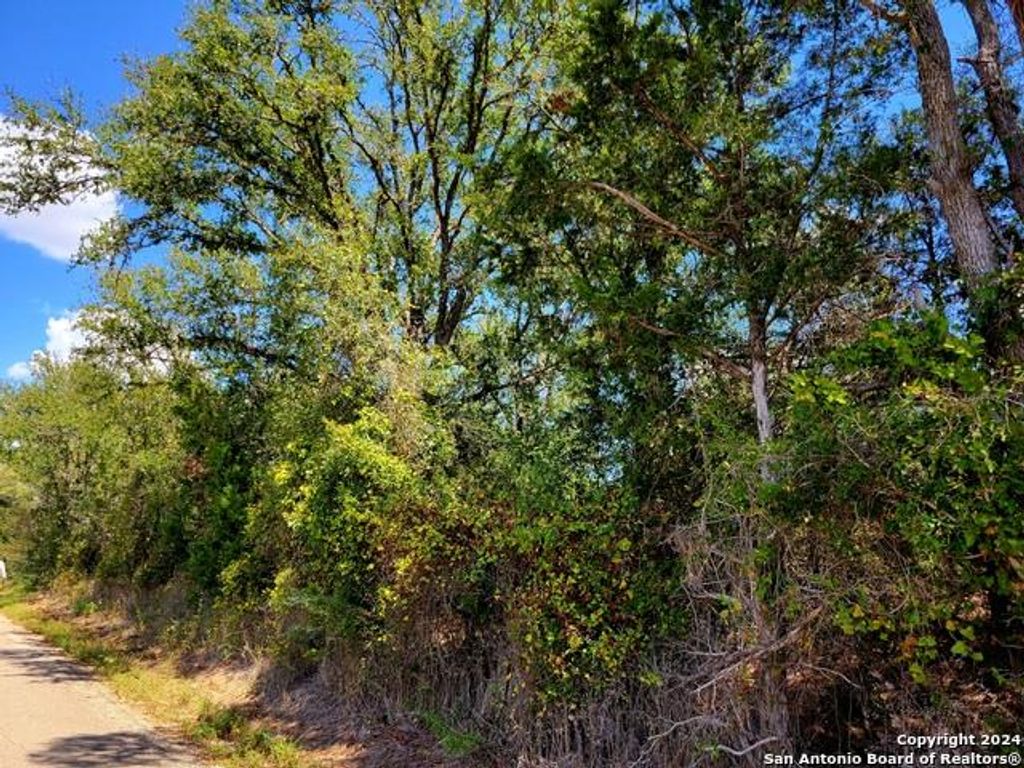 TBD Dale Ln LN, Dale, TX 78616