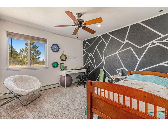 11784 Crabapple Dr, Franktown, CO 80116