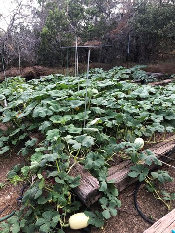 10501 Hill Country Skyline, Dripping Springs, TX 78620