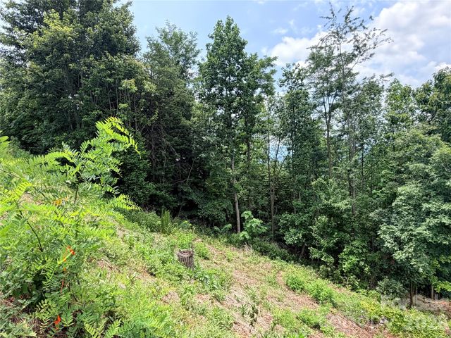 0 Golden Ridge Drive 133, Lake Lure, NC 28746