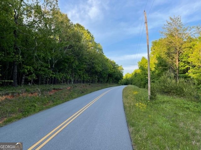 0 Ben Jones Road, Clarkesville, GA 30523