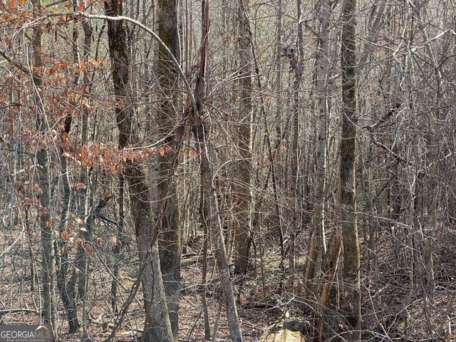 0 Ben Jones Road, Clarkesville, GA 30523