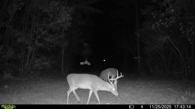 Parcel A Sunburst Drive, Crestview, FL 32539