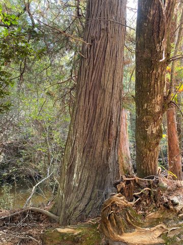 Parcel A Sunburst Drive, Crestview, FL 32539