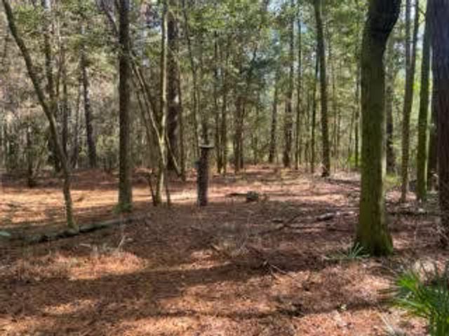 Parcel A Sunburst Drive, Crestview, FL 32539