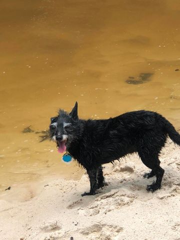 Parcel A Sunburst Drive, Crestview, FL 32539