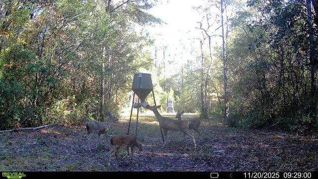 Parcel A Sunburst Drive, Crestview, FL 32539