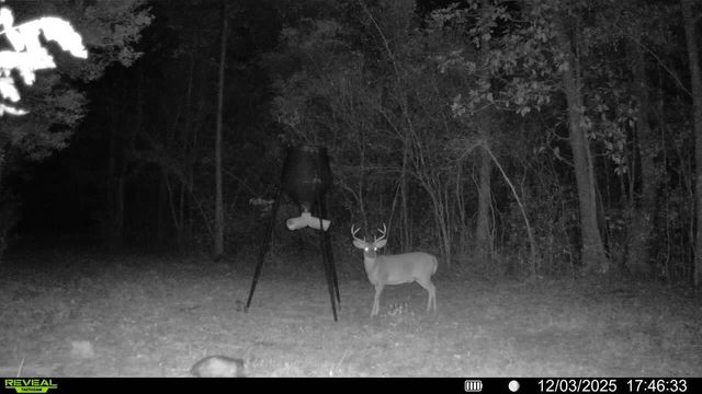 Parcel A Sunburst Drive, Crestview, FL 32539