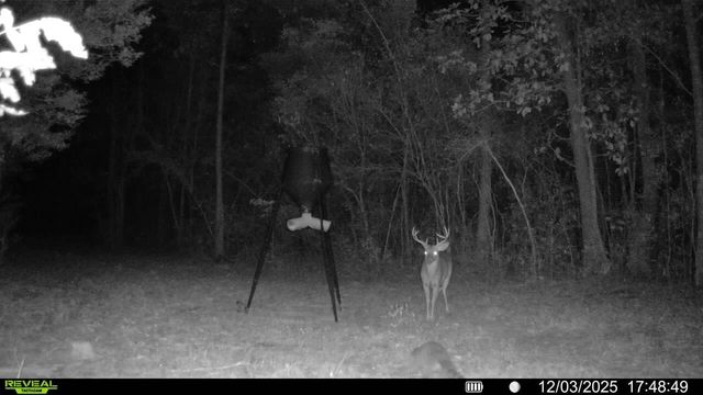 Parcel A Sunburst Drive, Crestview, FL 32539